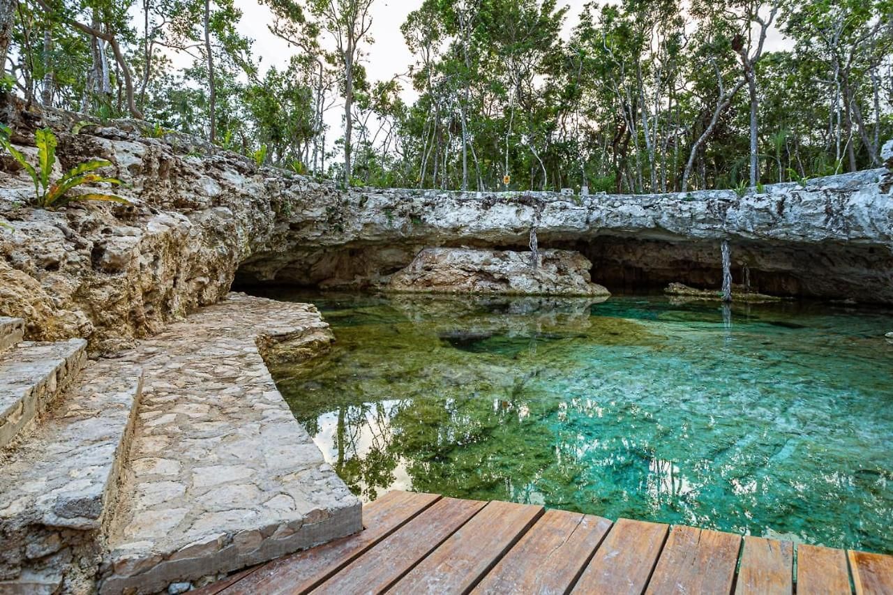 Room In The Jungle + Private Natural Cenote Guest house