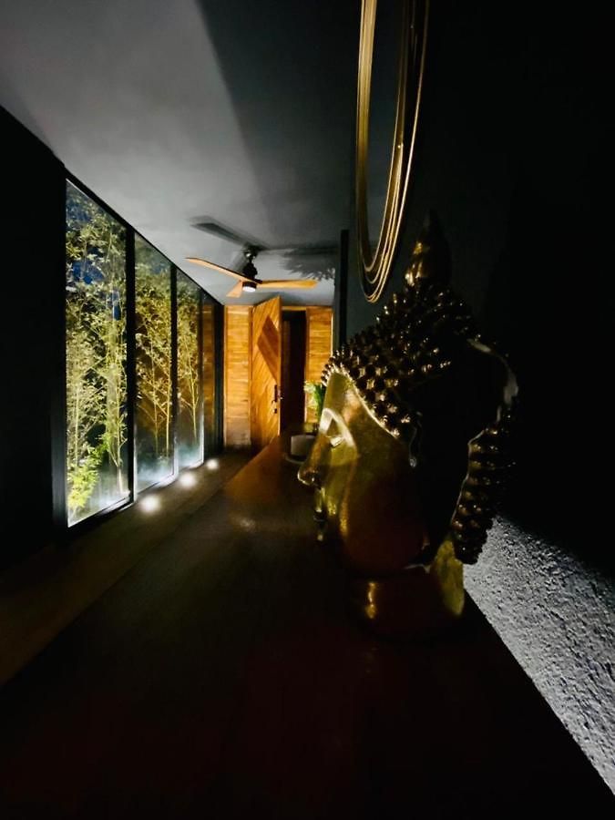 Room In The Jungle + Private Natural Cenote Guest house *