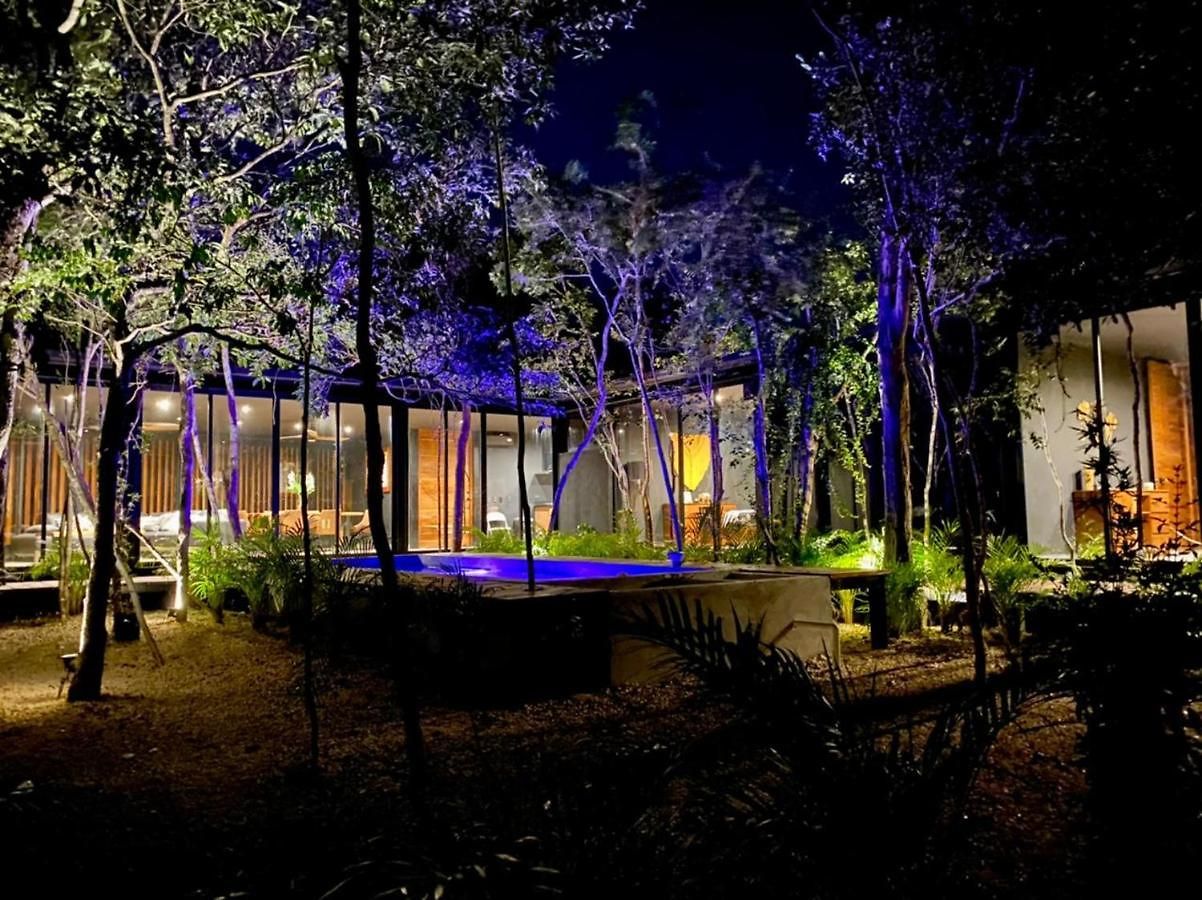 Room In The Jungle + Private Natural Cenote Guest house *