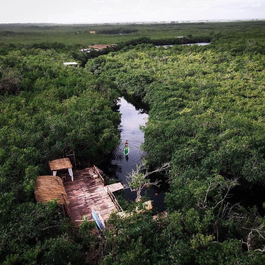 Hotel Manglex Eco Tulum