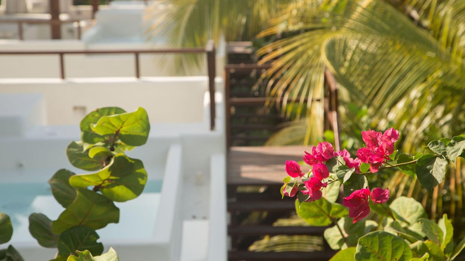 Chiringuito Hotel Tulum