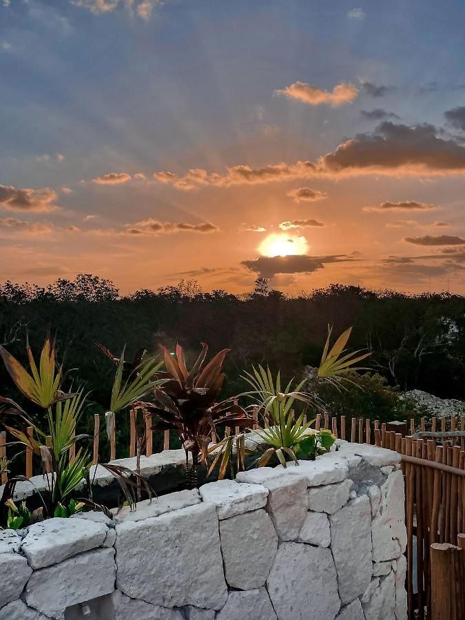 Vida Jungle Boho 13 With Special Fee To Access Bardo Apartment *