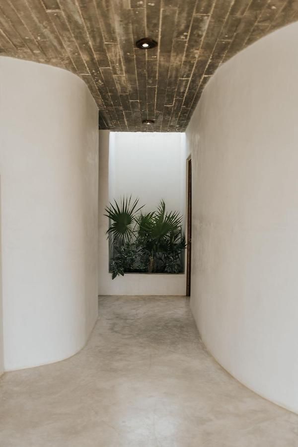 Zorba Homes Villa Tulum