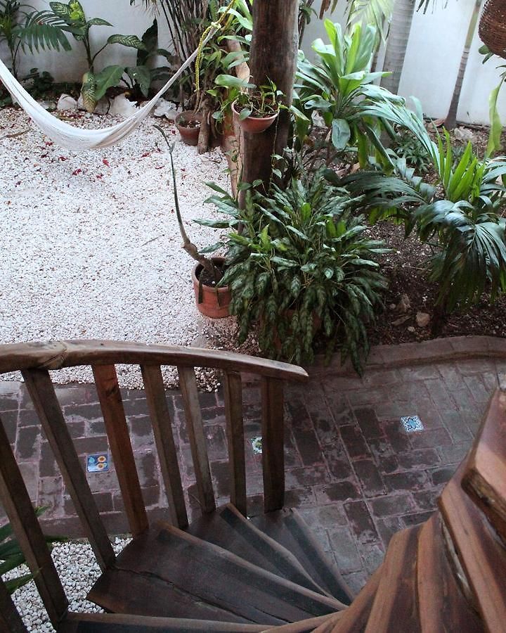 L Hotelito Hotel
