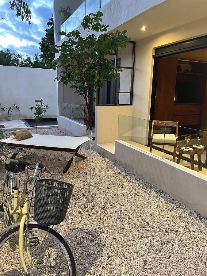 Room In Studio - Stylish And Bright Studio Near The Pool Guest house