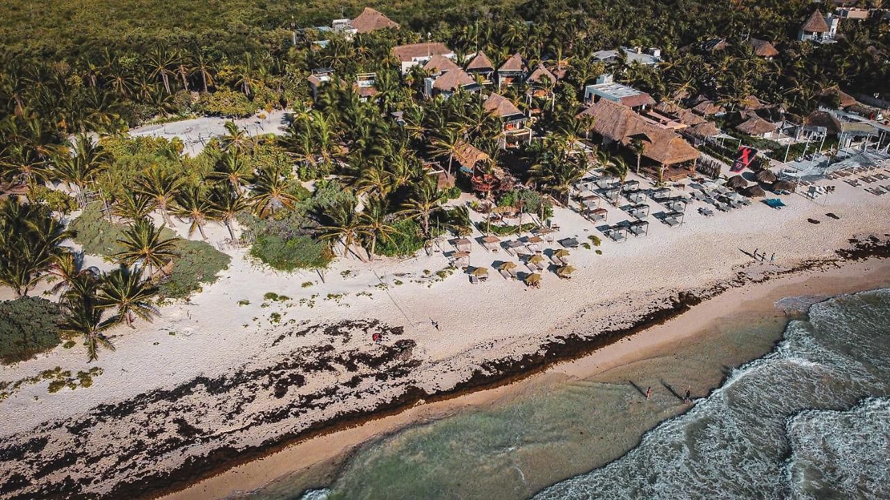 Orchid House (adults Only) Hotel Tulum