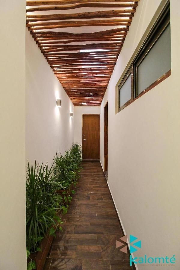 In Studio - Luxury Suites La Veleta Guest house *