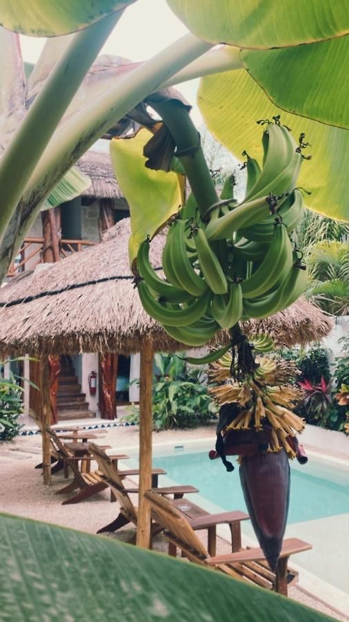 Caribena Tulum