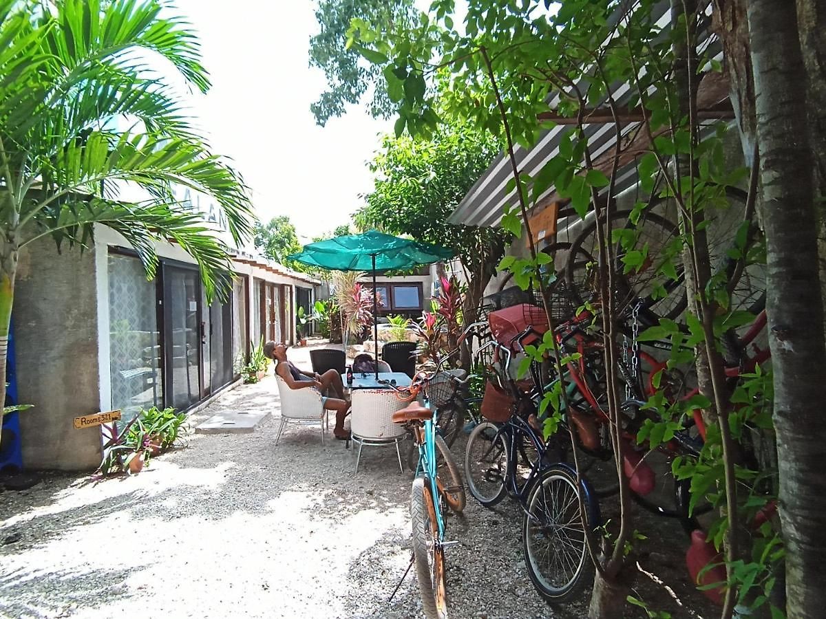 Primitive Selfcheck-in Adults Only 2*