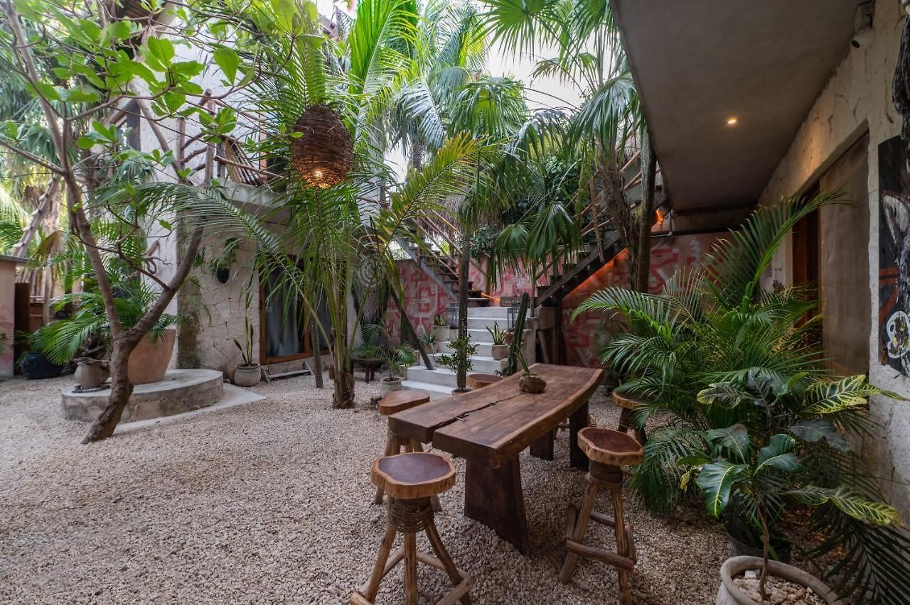 Hotel Casa Coyote
