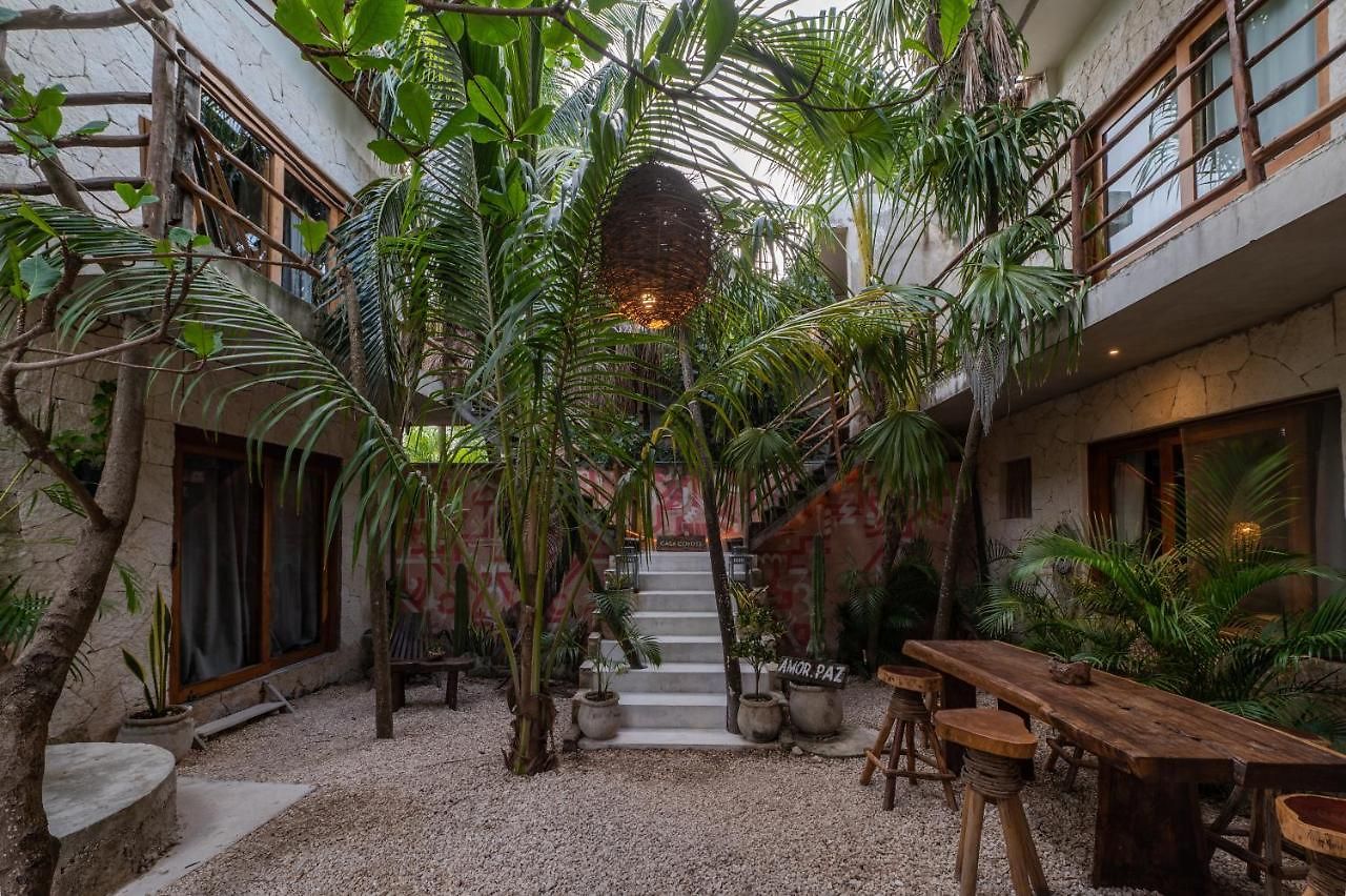Casa Coyote 3*