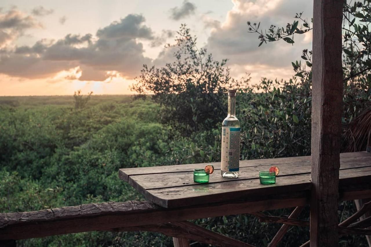 Hidden Treehouse Eco-hotel Hotel