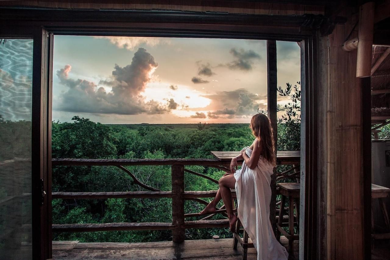 Hidden Treehouse Eco-hotel