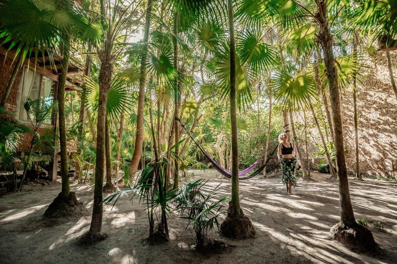 Hotel Hidden Treehouse Eco-hotel 4*