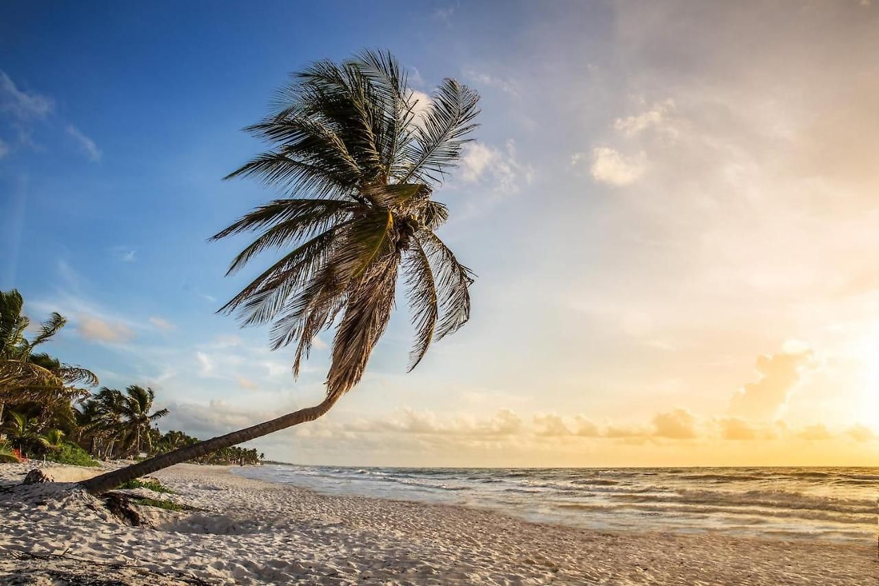 Hotel Hidden Treehouse Eco-hotel Tulum