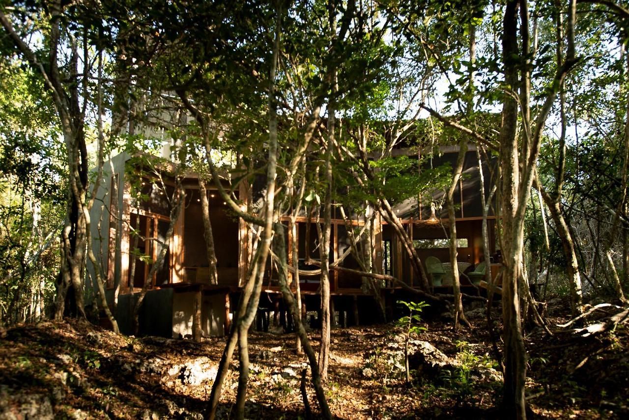 Villa Ojo De árbol, Boutique In The Real Jungle *