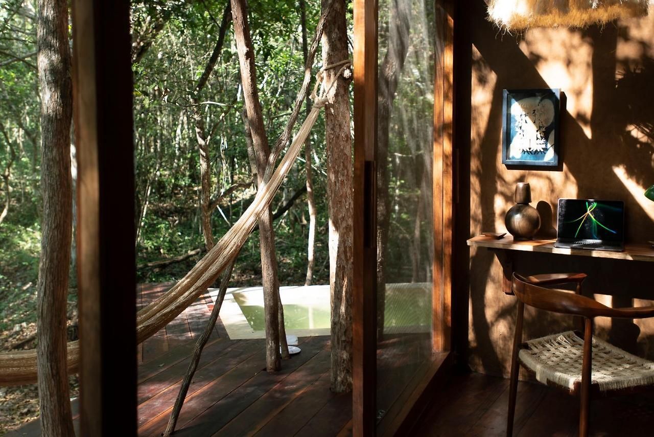 Villa Ojo De árbol, Boutique In The Real Jungle