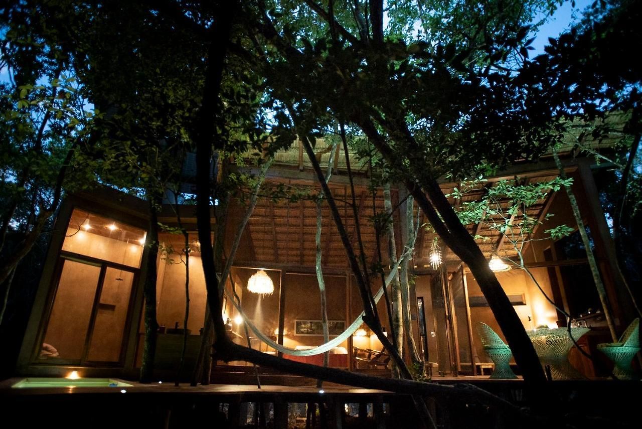 Ojo De árbol, Boutique In The Real Jungle Villa *