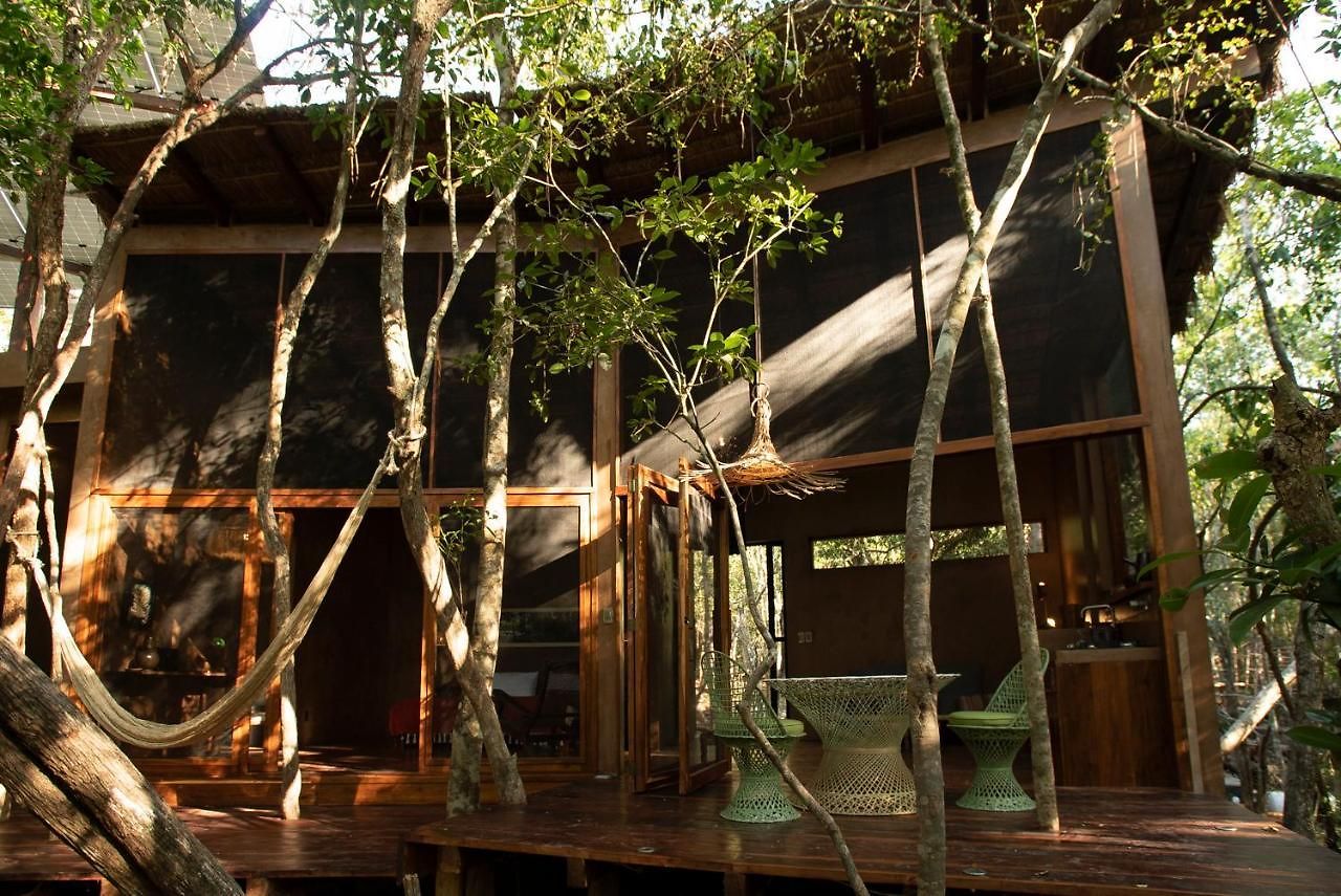 Ojo De árbol, Boutique In The Real Jungle Villa
