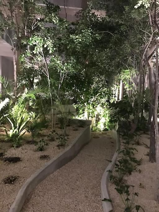 N35 Jungle Nest
