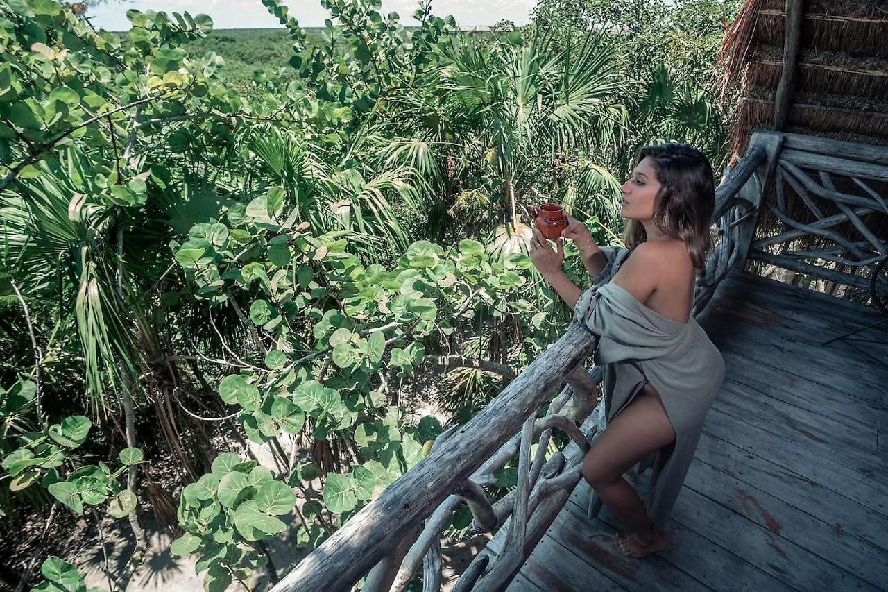 Hotel Hidden Treehouse Eco-hotel