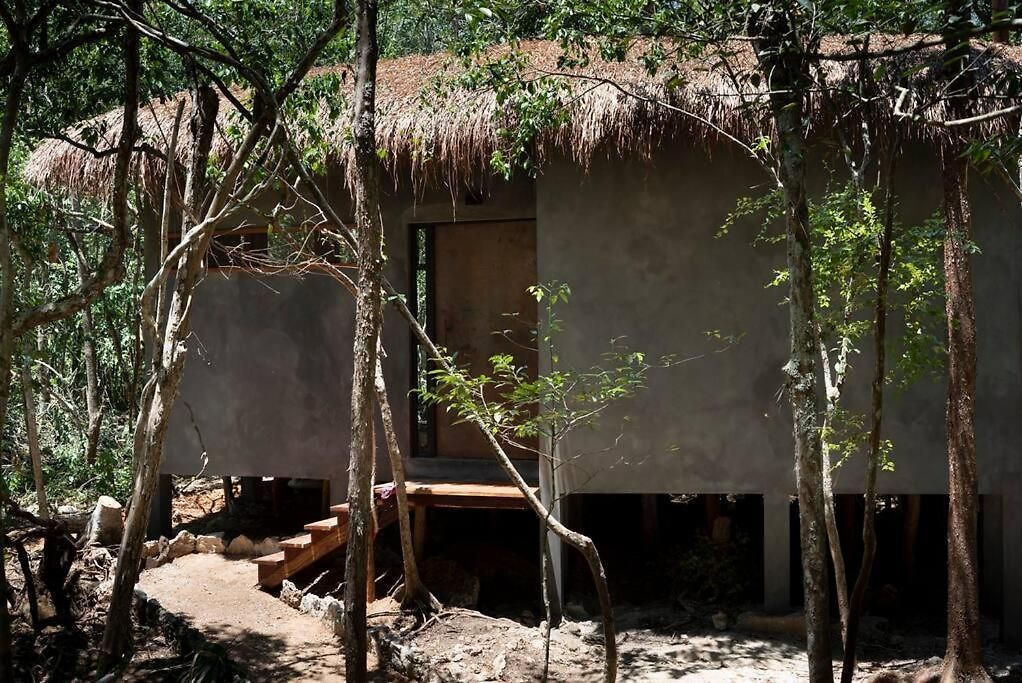 Ojo De árbol, Boutique In The Real Jungle Villa