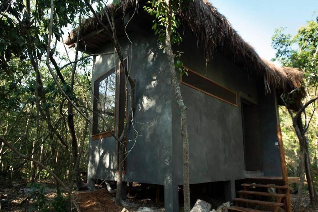 Ojo De árbol, Boutique In The Real Jungle Villa Tulum