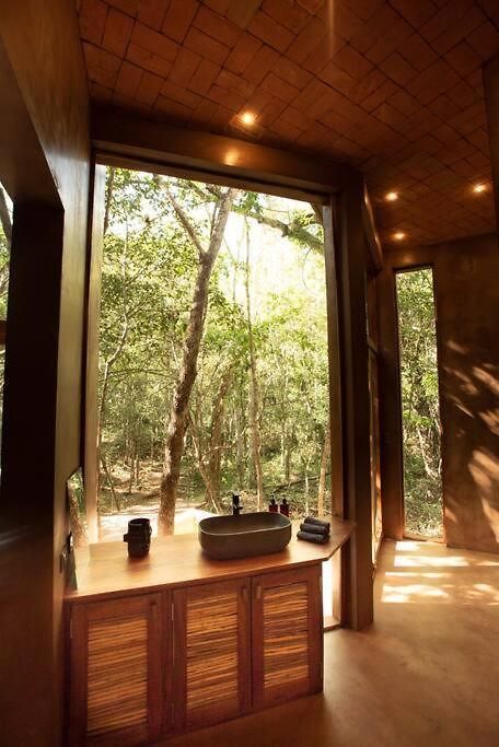 Ojo De árbol, Boutique In The Real Jungle