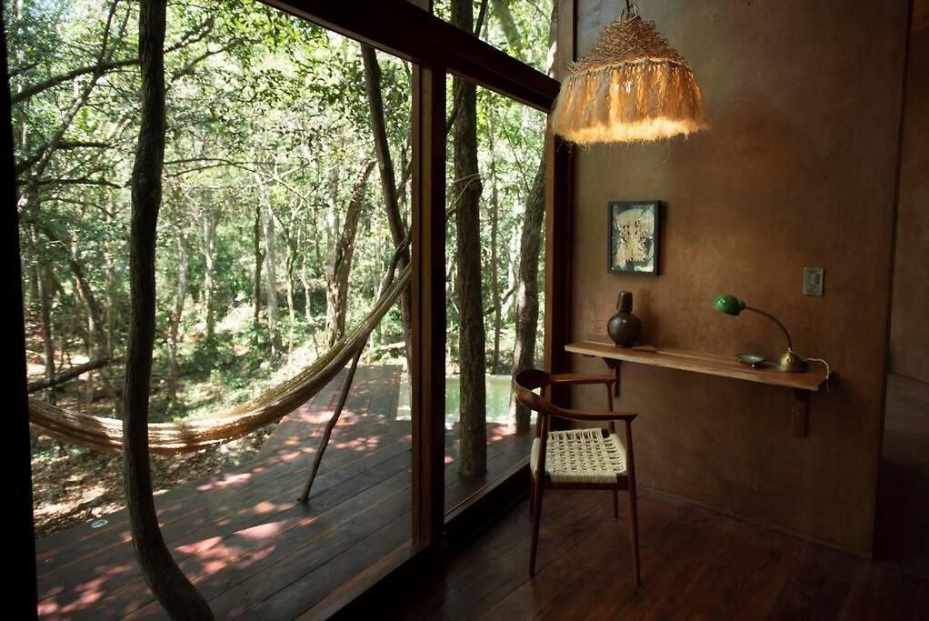 Ojo De árbol, Boutique In The Real Jungle