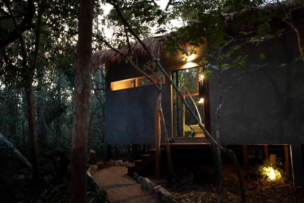 Ojo De árbol, Boutique In The Real Jungle * Tulum