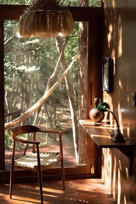 Ojo De árbol, Boutique In The Real Jungle