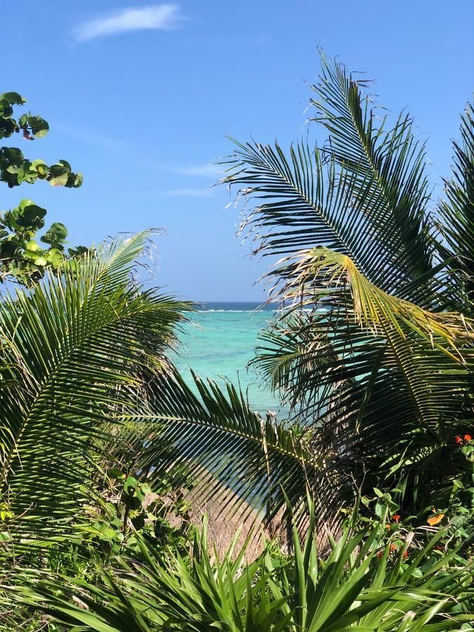 Ca'lalily Tulum