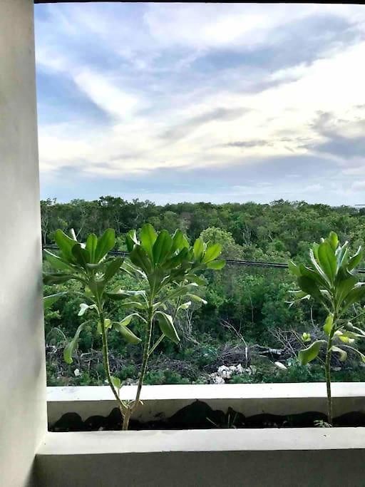 Apartment N35 Jungle Nest Tulum