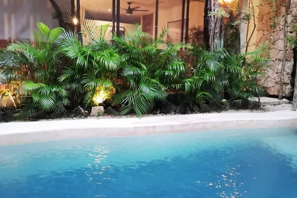 Agua & Selva Luxury Jungle Loft Apartment
