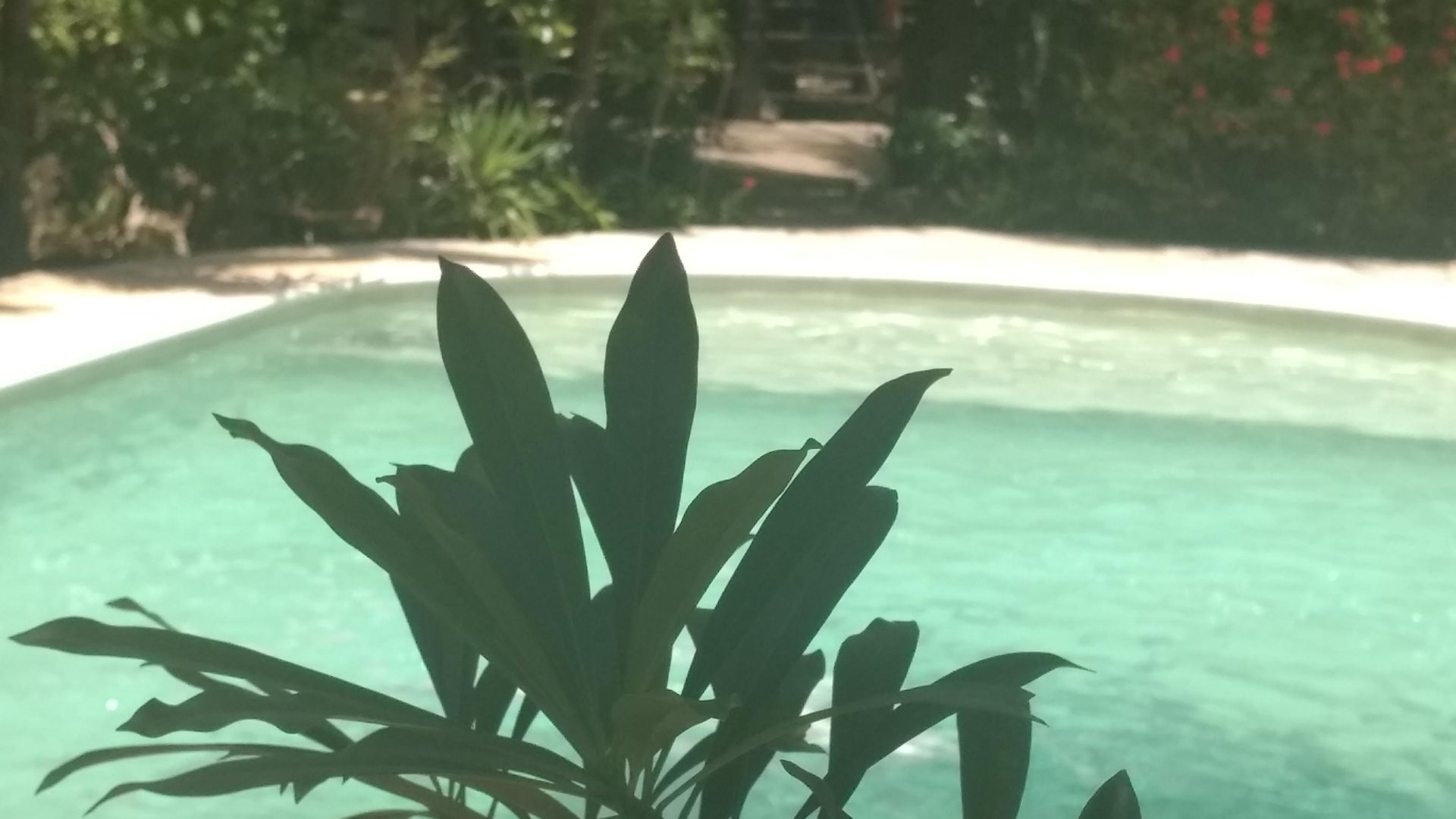Hotel & Gardens 3*