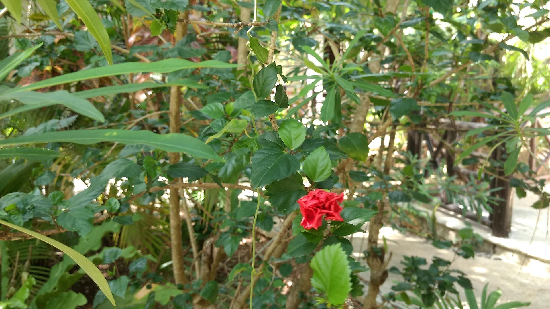Hotel & Gardens