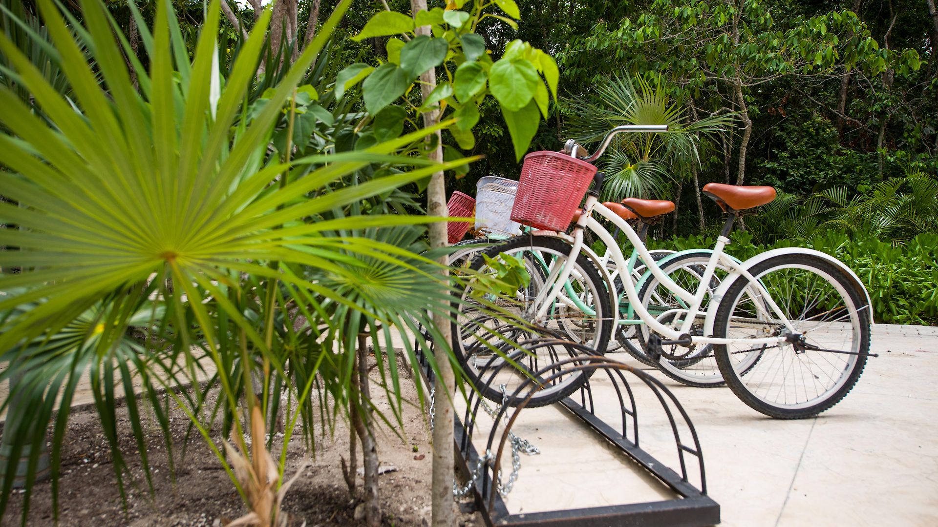 Hotel Naay Curamoria Collection