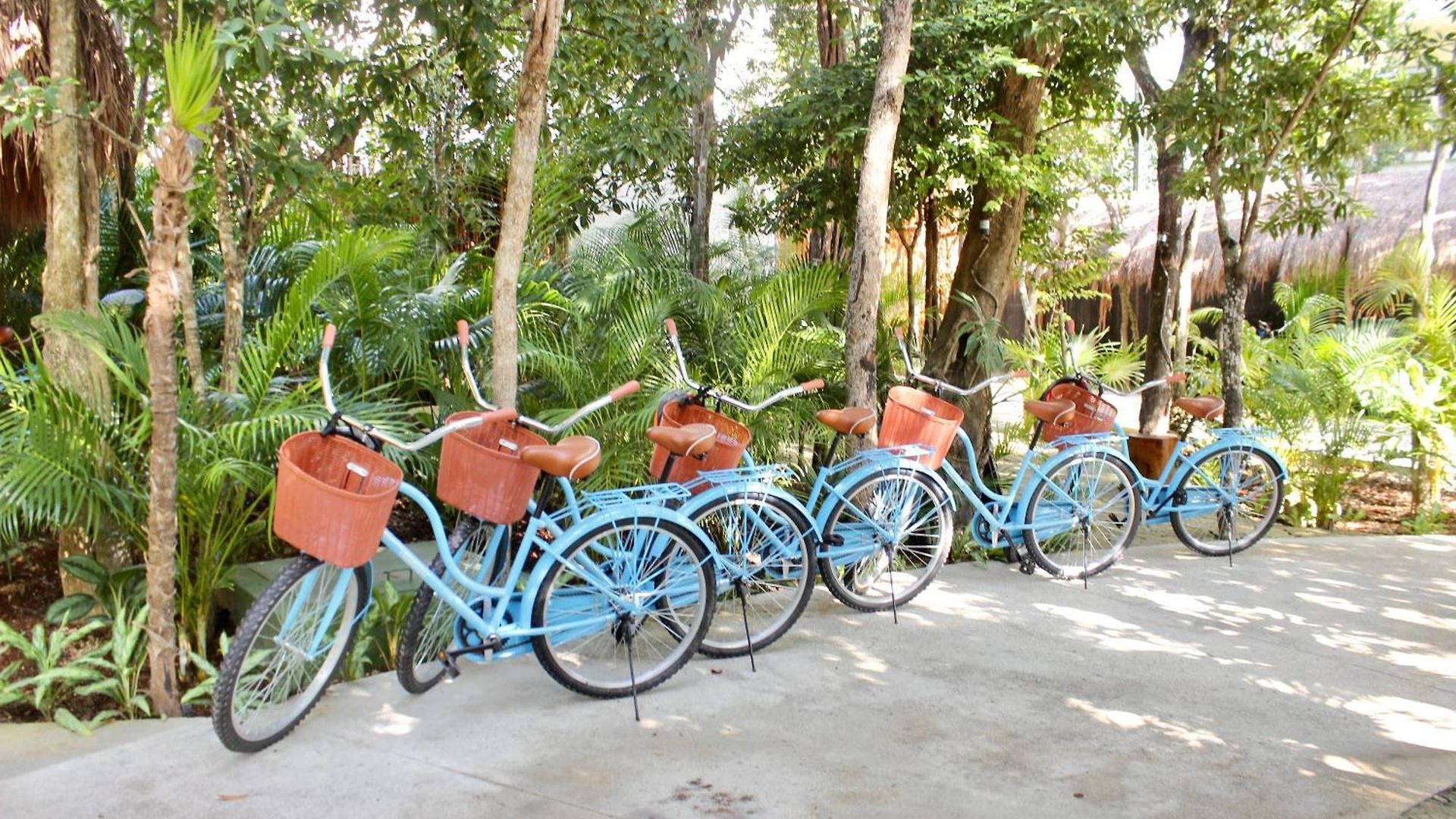 Aluna 5* Tulum