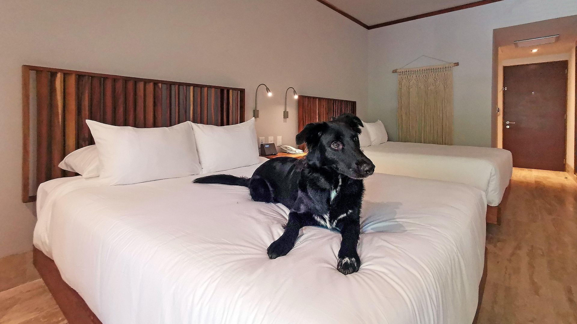 Aluna Hotel