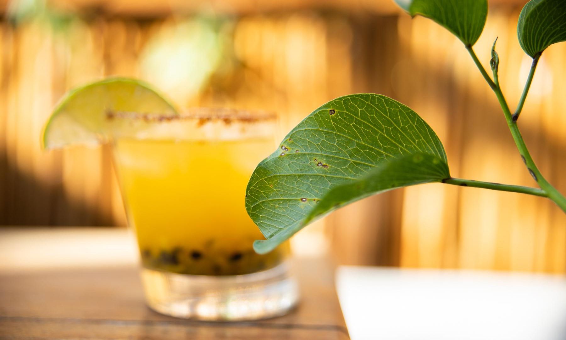 Aroma & Club Tulum