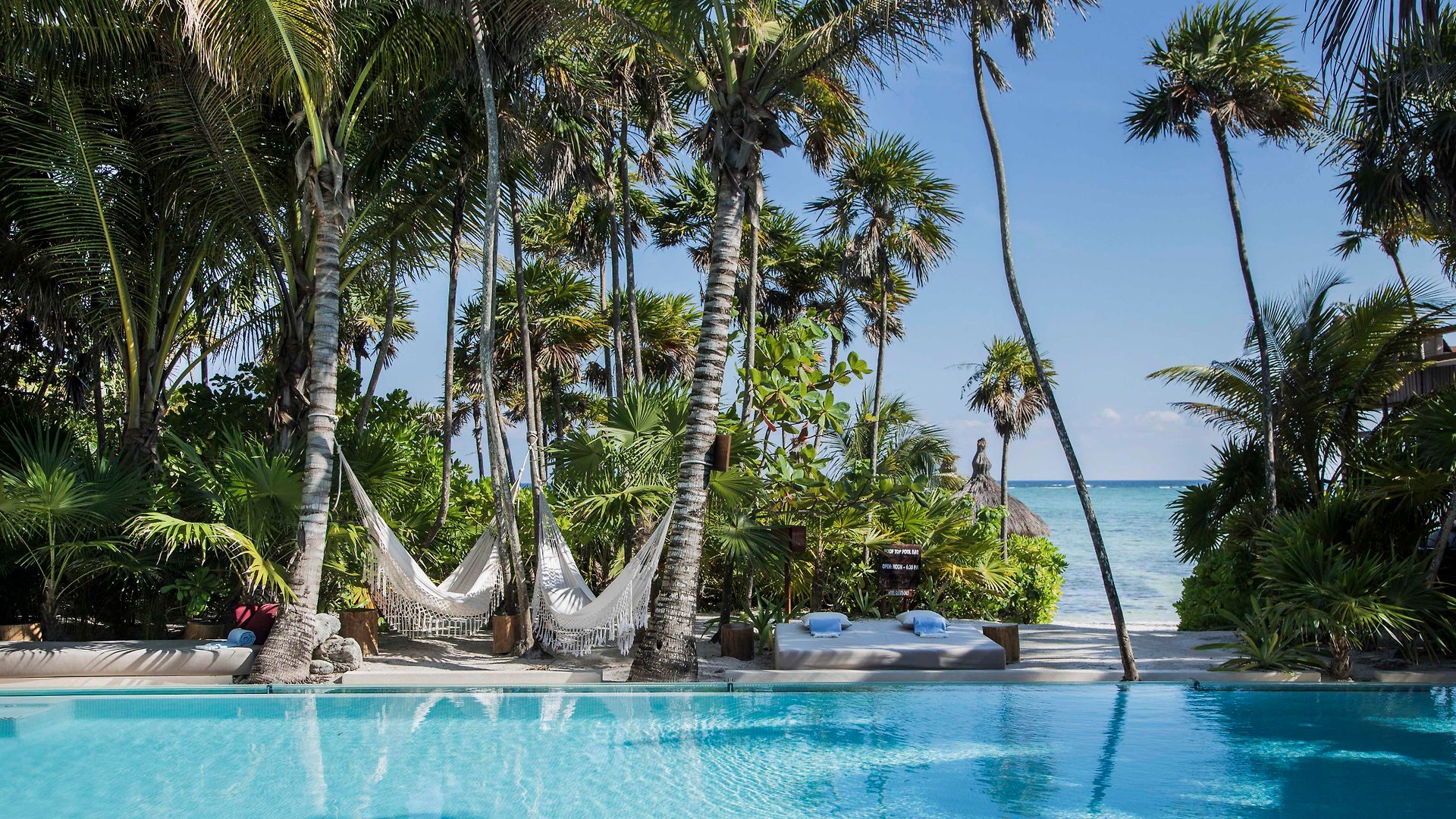 Jashita (adults Only) 5*