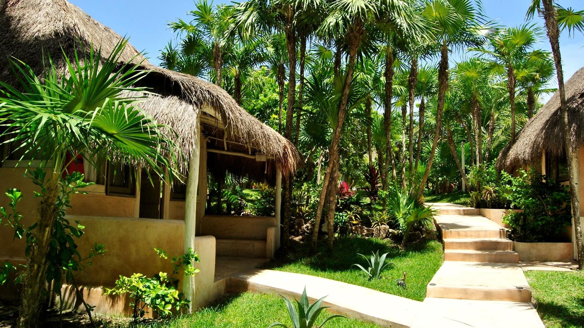 Estrellas - Located At The Party Zone Hotel 4*