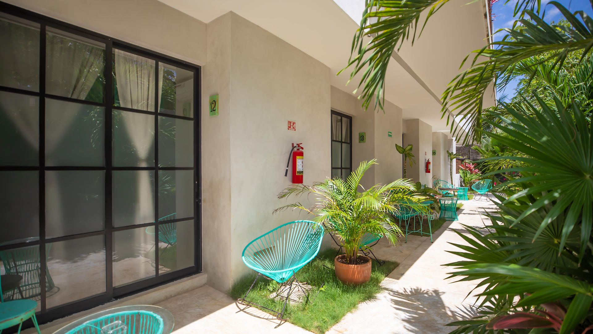 Turquoise (adults Only) 3*