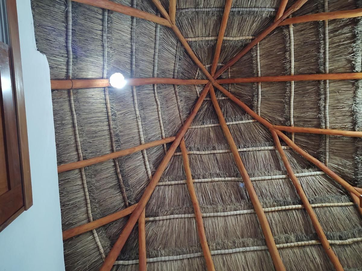Hotel Riviera Maya *