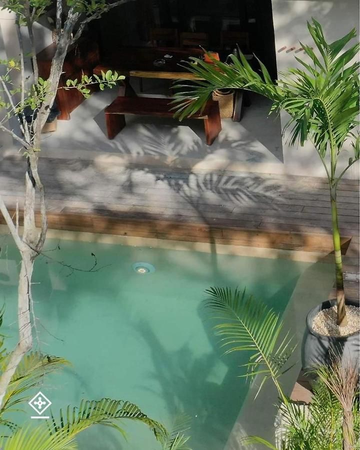 Xuncari En El Corazón De La Selva Tulum