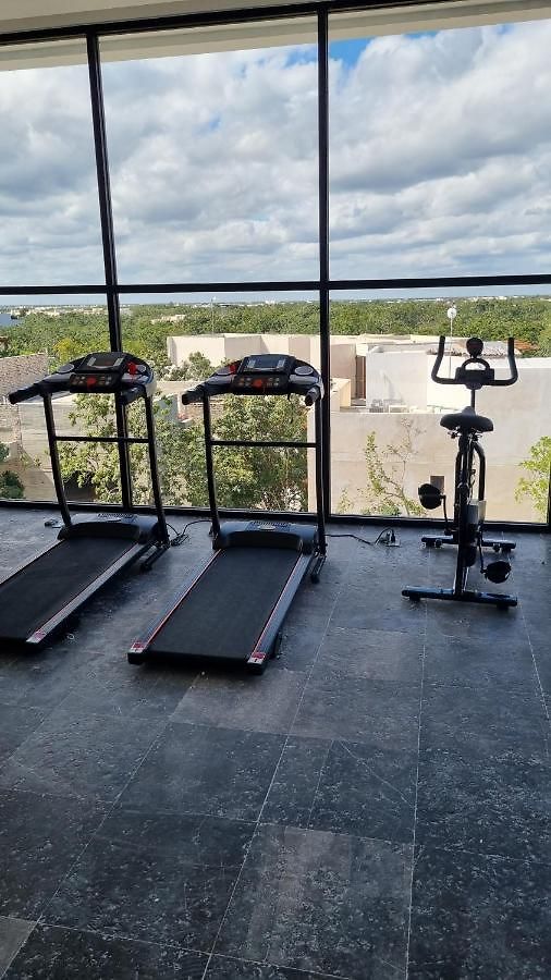 Umbral Estudio 305 Wifi Rapido Oasis En La Selva