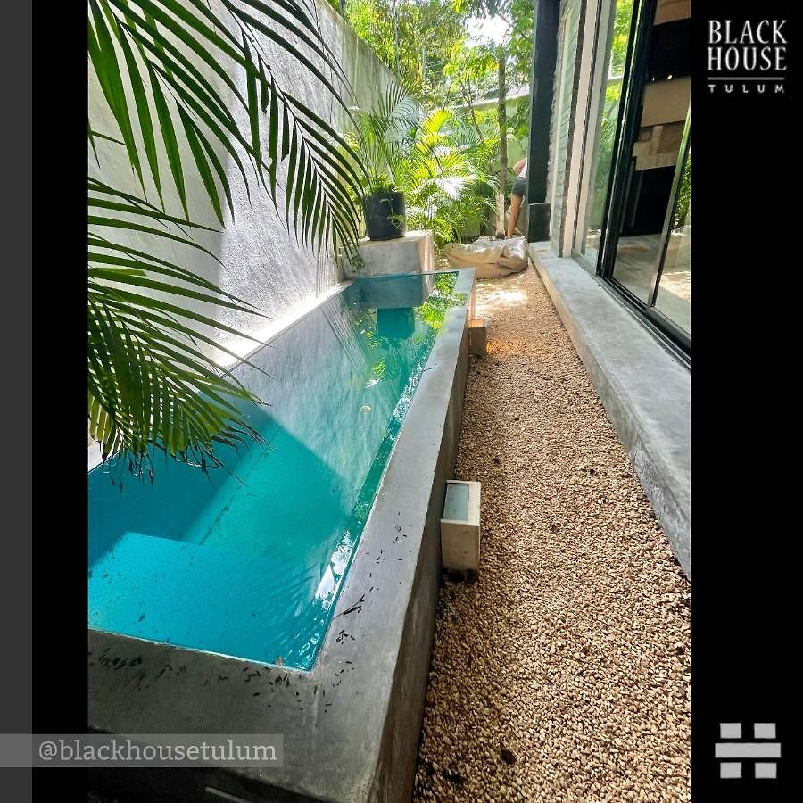 Black House *