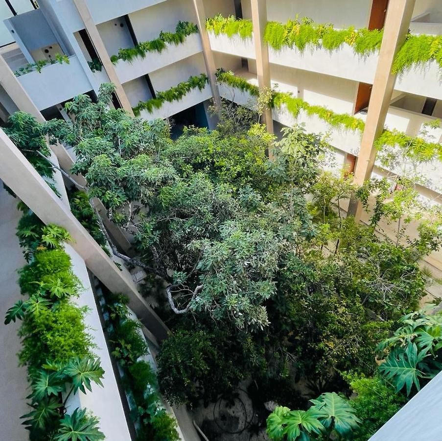N35 Jungle Nest *