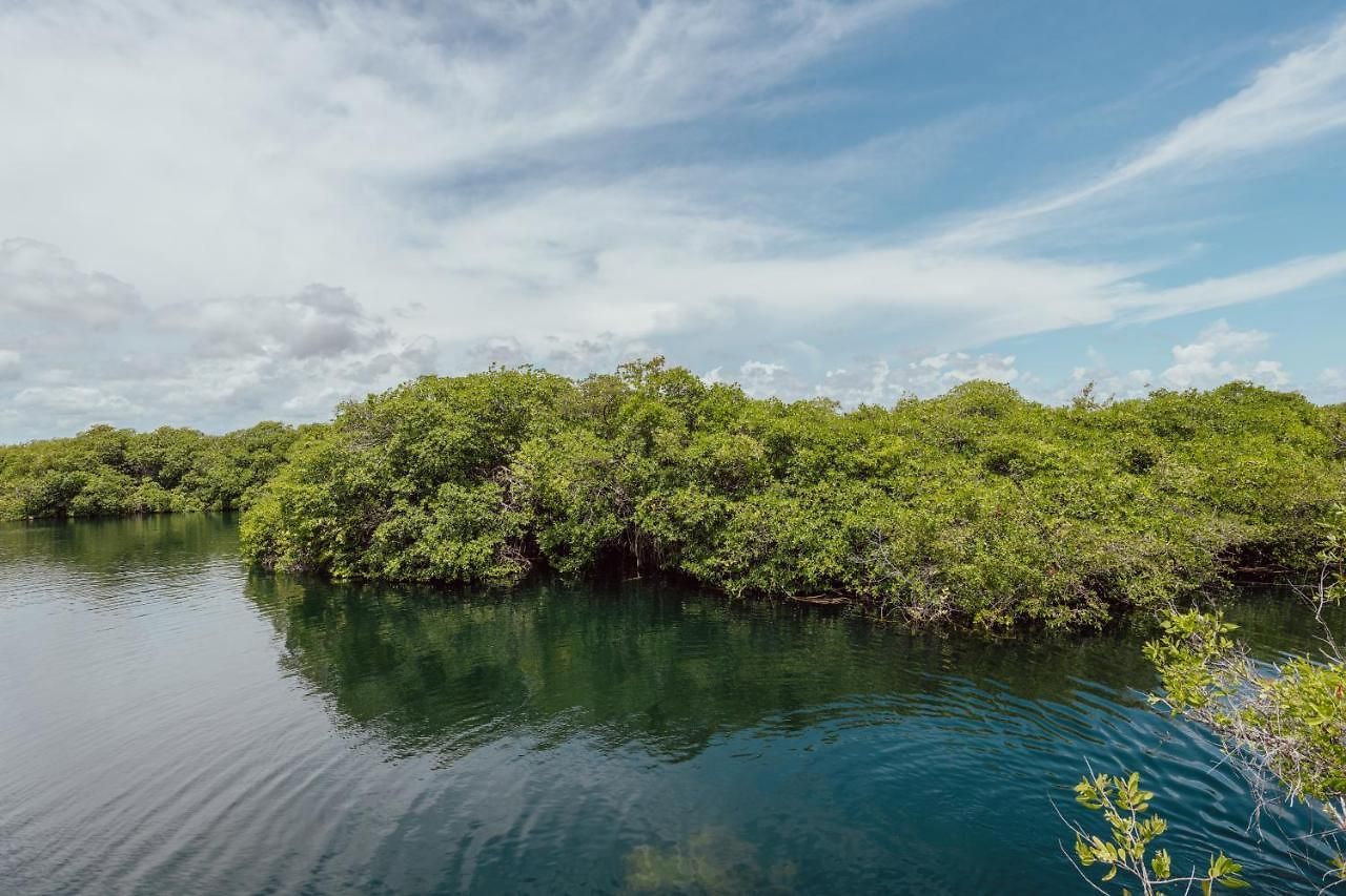 Yaxchen Cabañas&cenote Lodge *