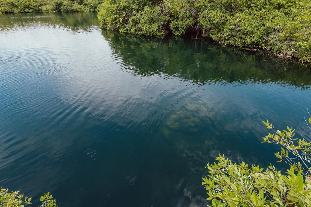 Lodge Yaxchen Cabañas&cenote *